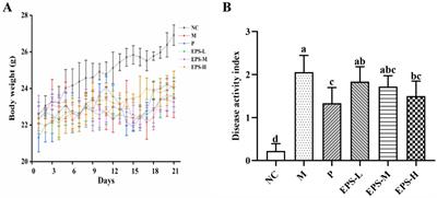 Lactiplantibacillus plantarum NMGL2 exopolysaccharide ameliorates DSS-induced IBD in mice mainly by regulation of intestinal tight junction and NF-κB p65 protein expression